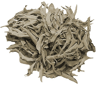 California White Sage Smudge Loose Cluster leaf Incense Bulk Dried Leaf Choose 